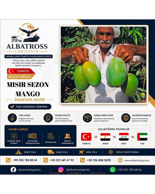 Egypt sezon ürünleri